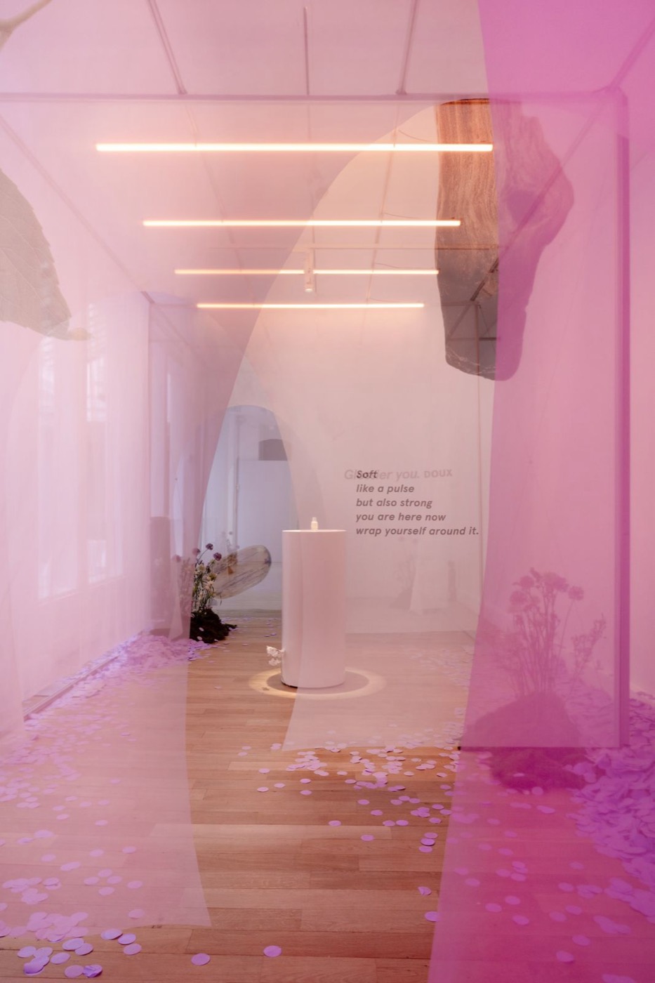 Glossier